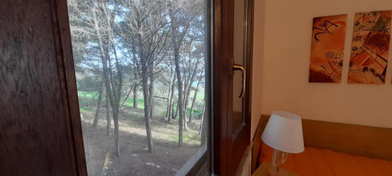 La Pineta