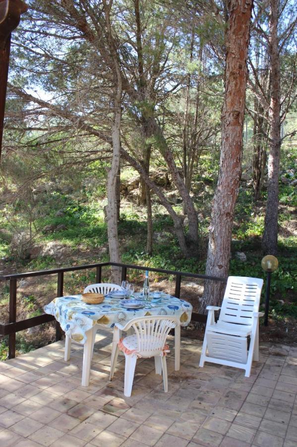 La Pineta Holiday home