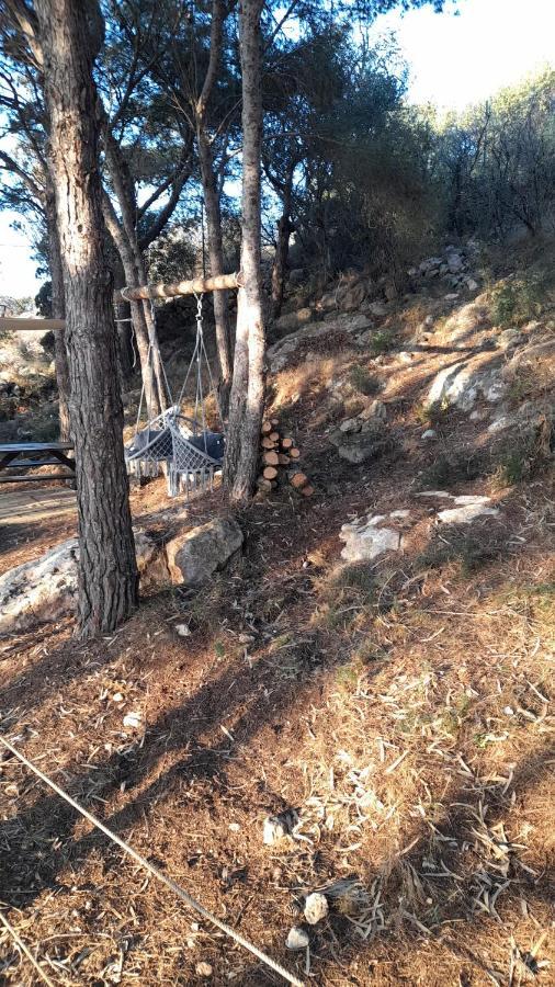 La Pineta