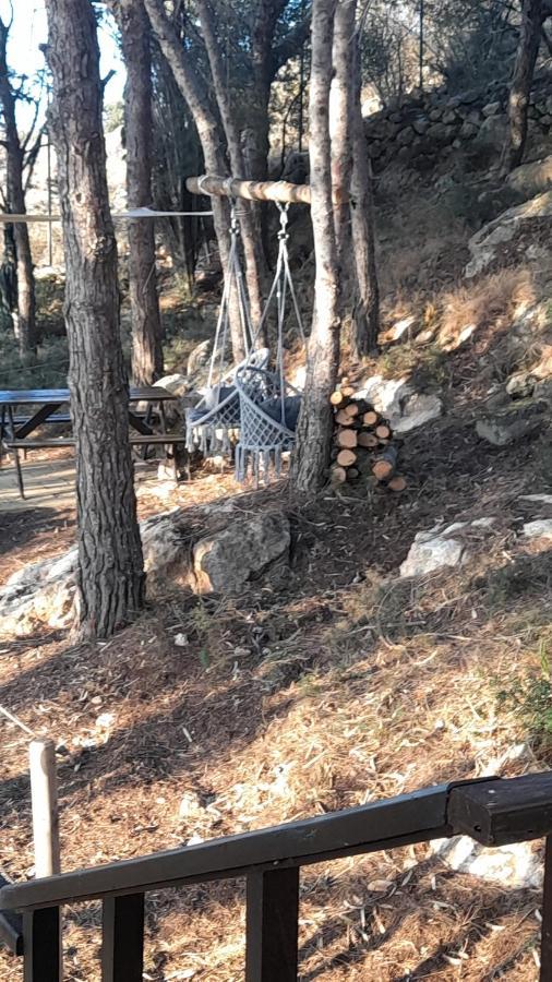 Holiday home La Pineta *